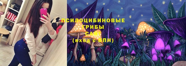 spice Балабаново